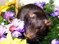 DSCF5987 копия.webp