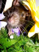 DSCF6007 копия копия.webp