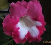 IMG_1830.webp