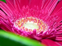 .webp