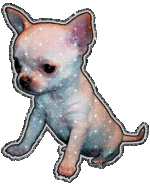 ChihuahuaGlit.gif