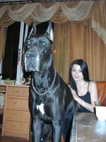 PICT156555.webp