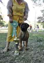 DSC018982.webp