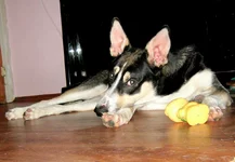 _июнь2012 004.webp