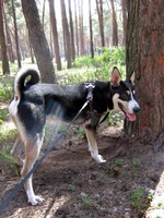 _июнь2012 048.webp