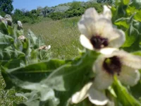  302.webp