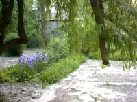  232.webp