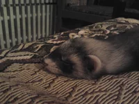 2012-07-06 21.25.15.webp