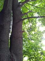 20120701_161448.jpg