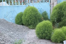 IMG_4168_новый размер.webp