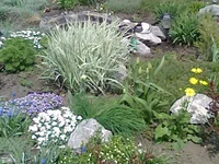 0041.webp