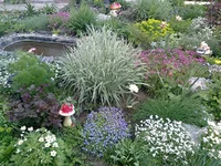 0053.webp