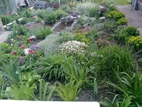 0058.webp