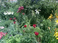 0091.webp