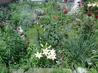 0092.webp
