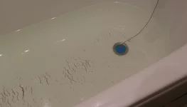 IMGP2430.webp