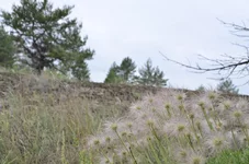 _DSC0006.webp