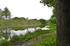 _DSC0160.webp