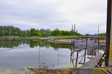 _DSC0163.webp