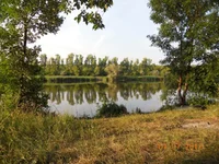 DSCN3193.webp