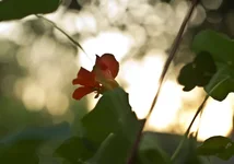 DSC00029-2.webp