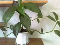 0506.webp