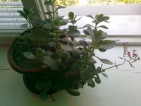 0508.webp