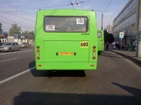 IMG086.webp