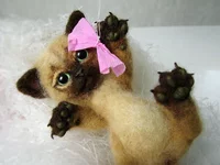 cat-3-7.webp