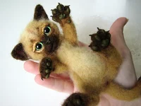 cat-3-6.webp