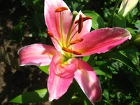 IMG_0045.webp