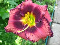 IMG_0040.webp