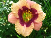 IMG_0048.jpg