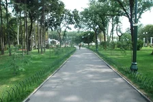 133581_700.jpg