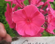 .webp