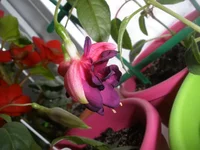 P7130706.webp P7130706.webp