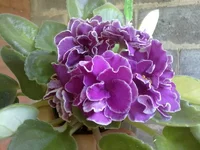 -Магия Любви.webp