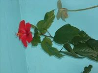 DSCN2512.JPG