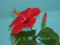DSCN2513.JPG