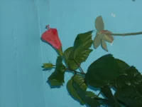 DSCN2516.JPG