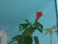 DSCN2517.JPG