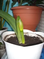 DSCN2629.JPG