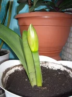 DSCN2632.JPG