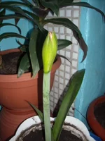 DSCN2661.webp