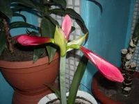 DSCN2683.webp