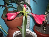 DSCN2688.webp