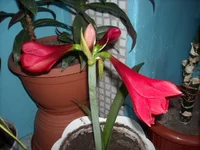 DSCN2689.webp