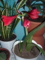 DSCN2692.webp