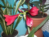 DSCN2691.webp