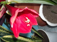 DSCN2693.webp